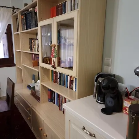 Ari's Apartment Arachova